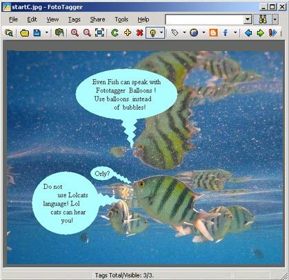 FotoTagger Screenshot